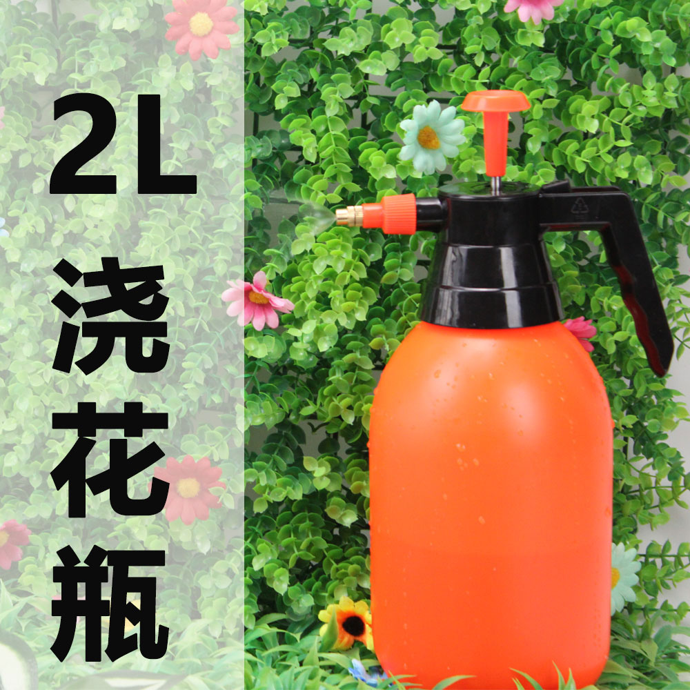 1753954956205516.jpg 19.jpg