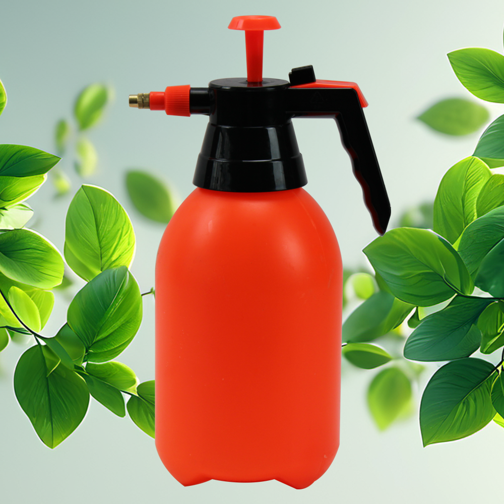 1753954980492259.png chse.png